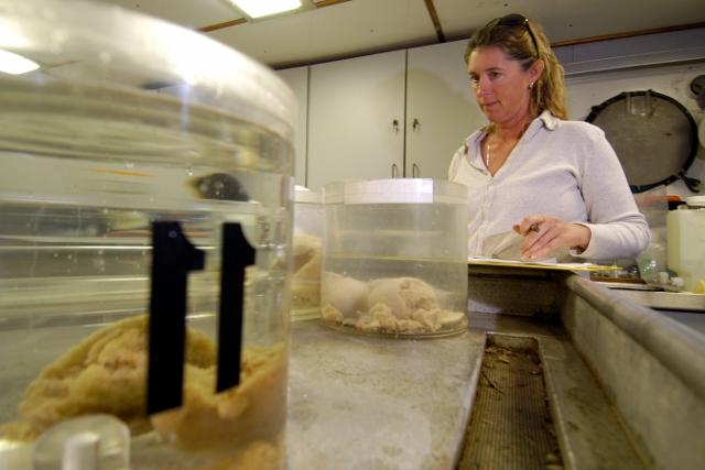 Specimens in wet lab